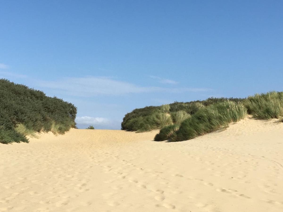 Вілла Owlers Retreat Camber Екстер'єр фото